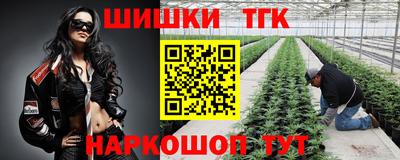 a pvp Новокубанск