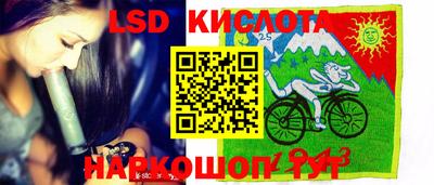 амф Новодвинск